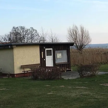 Darss With And Without A Dog Apartment *
